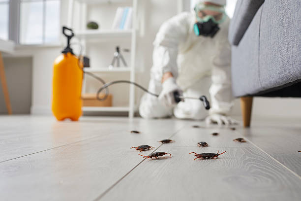 Commercial Kitchen Cockroach Control in Lusk